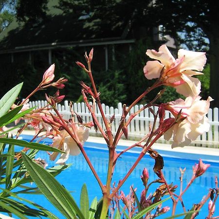 Guest House Westwood Kraljevec Kupinecki الغرفة الصورة